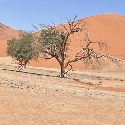 toursix2's tweet photo. #NewProfilePic https://t.co/r6saSbusFd