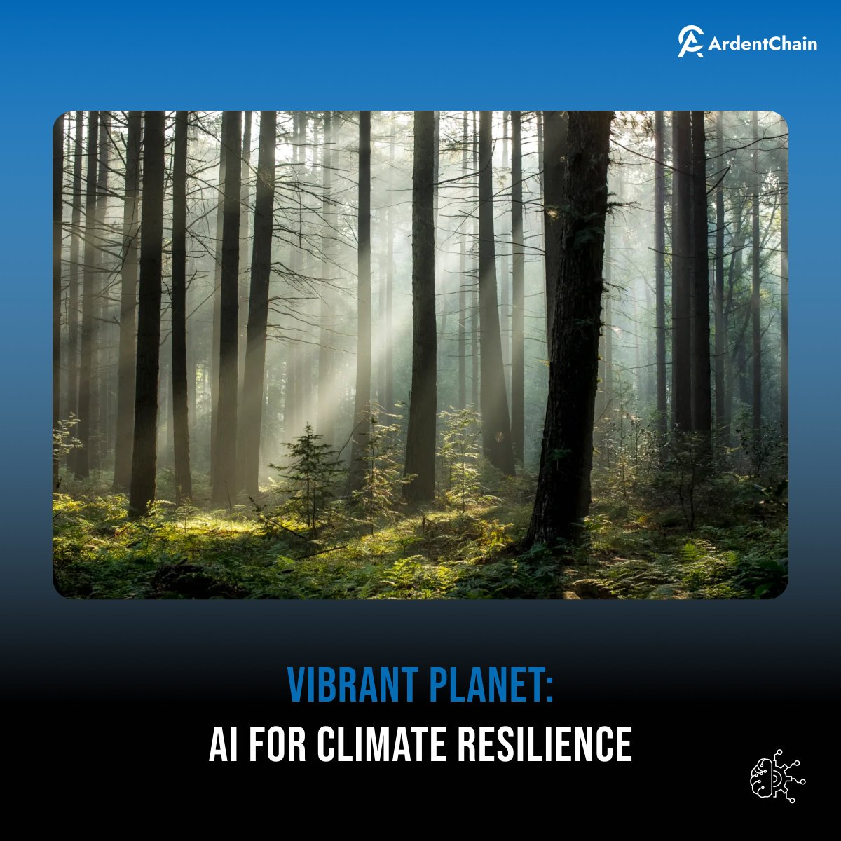 Vibrant Planet uses AI for land mapping, aiding climate resilience, especially in wildfire management. It fosters collaborative planning among stakeholders like fire departments and indigenous groups, improving land management strategies.

#VibrantPlanet #AI