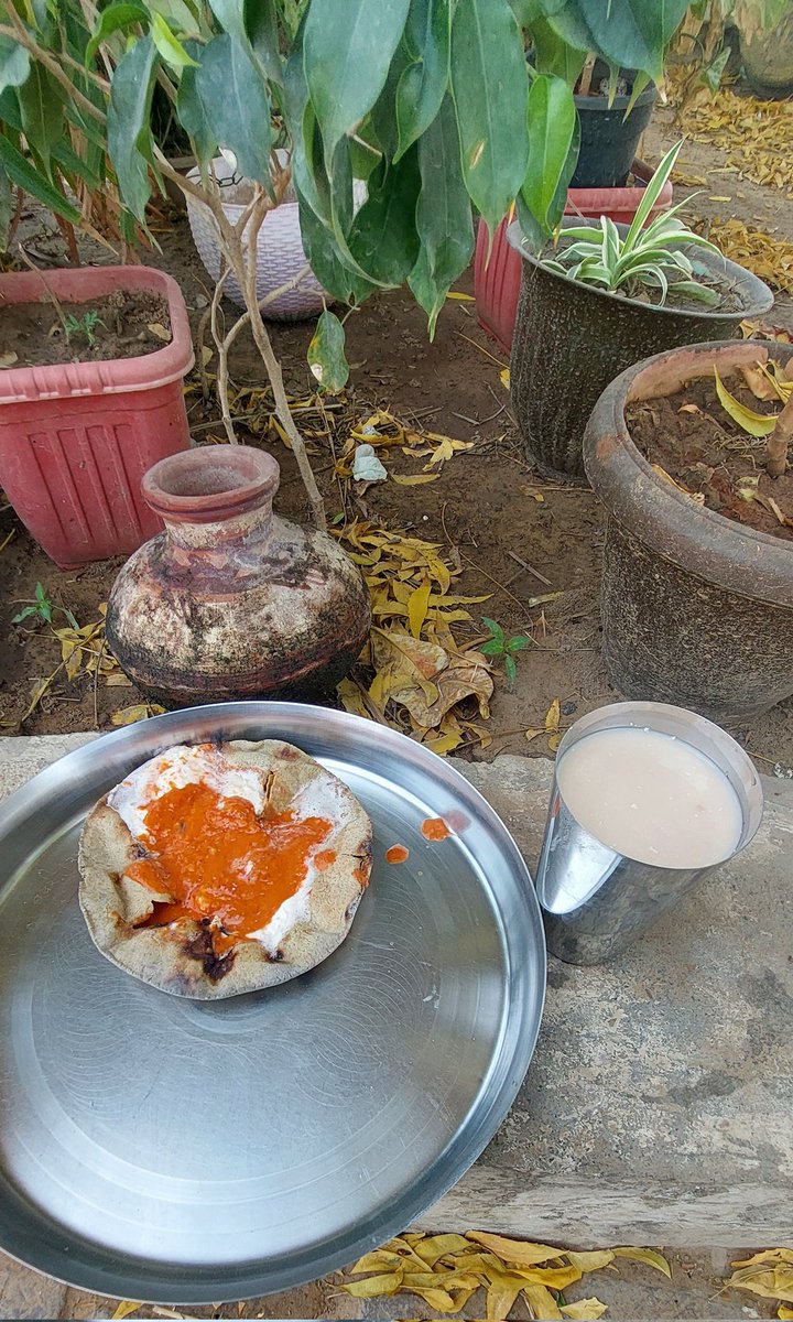 major_pawan's tweet photo. Lunch https://t.co/mSTewLCzUe