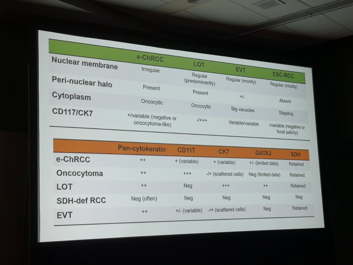 Miruna Popescu, MD tweet media