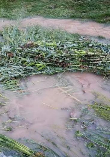 COENPeru's tweet photo. #COENInforma
Huancavelica: el 26/3, debido a lluvias intensas, se produjo un #Huaico que causó daños a viviendas y cultivos en el centro poblado Ñahuinpuquio, distrito #Anchonga, provincia Angaraes. Municipio distrital coordina entrega de ayuda humanitaria y realiza #EDAN. (1/2) https://t.co/mNRM2SIE4X