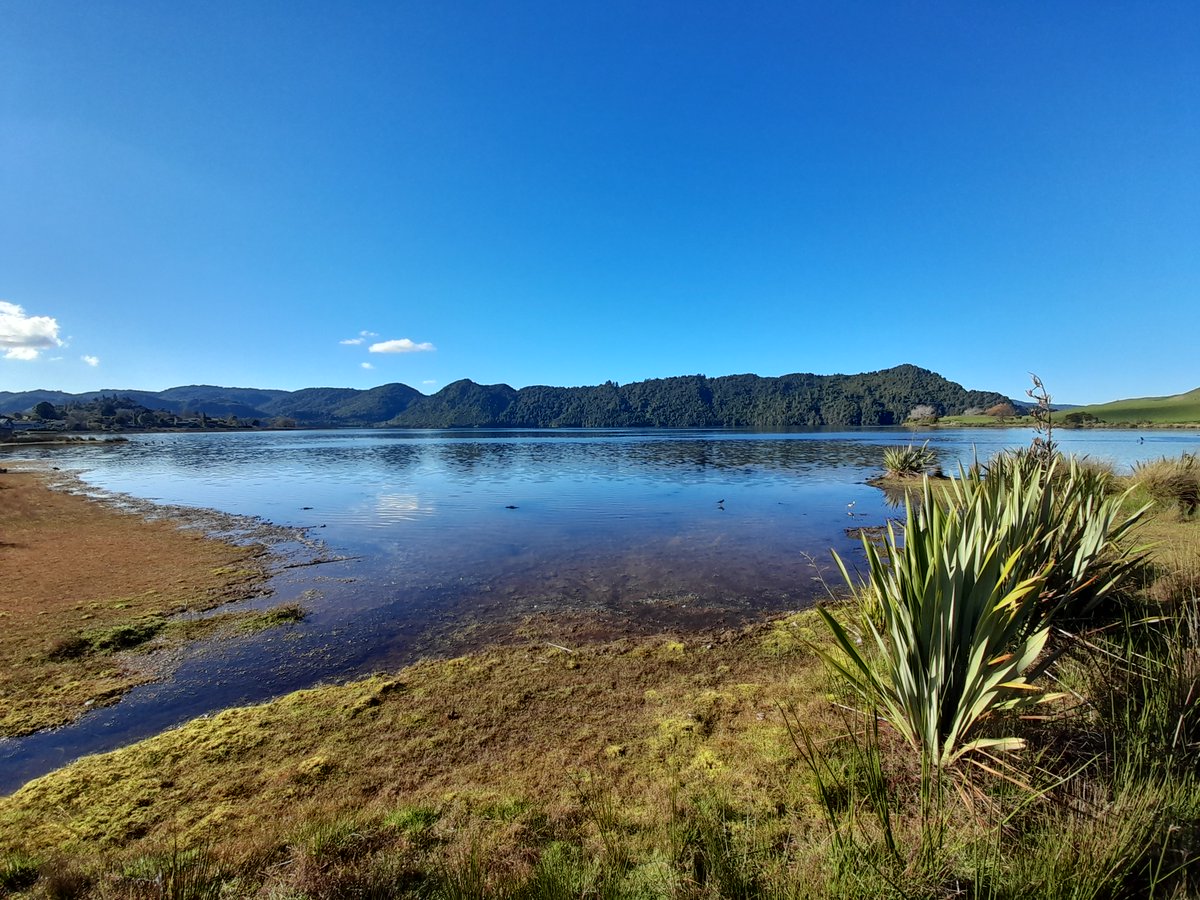 We are advertising a funded MSc project <a href="/waikato/">The University of Waikato 🎓</a> on the importance of stream-wetland refuges for kōaro populations in Lake Ōkāreka. This project involves collaborators from Te Arawa Lakes Trust, NIWA, and <a href="/DrRotokakahi/">Ian Kusabs</a> 
See more details here: tinyurl.com/mrycdbjd