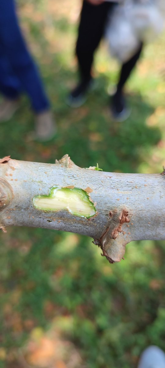 Juan Manuel Pardo Garcia tweet media