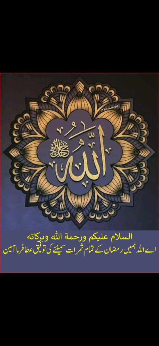 Hamna Yasir tweet media