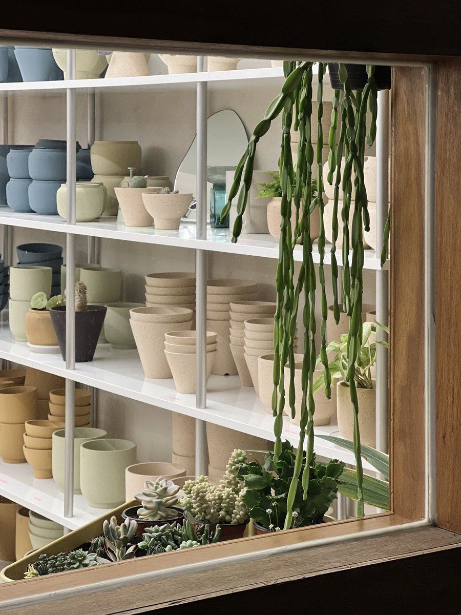 우리 식계 명절 식목일을 위한 한발 빠른 이벤트🍸

1. 이 게시물을 리트윗 해주신 분들 중 
2명을 채택해 클래스 참여권을 드립니다. 
(4월에 오픈하는 클래스 중 선택 가능)

2. 4월 한달 클래스에 참여해주시는 모든 분들께,
식물 생활을 위한 작은 선물을 드려요.