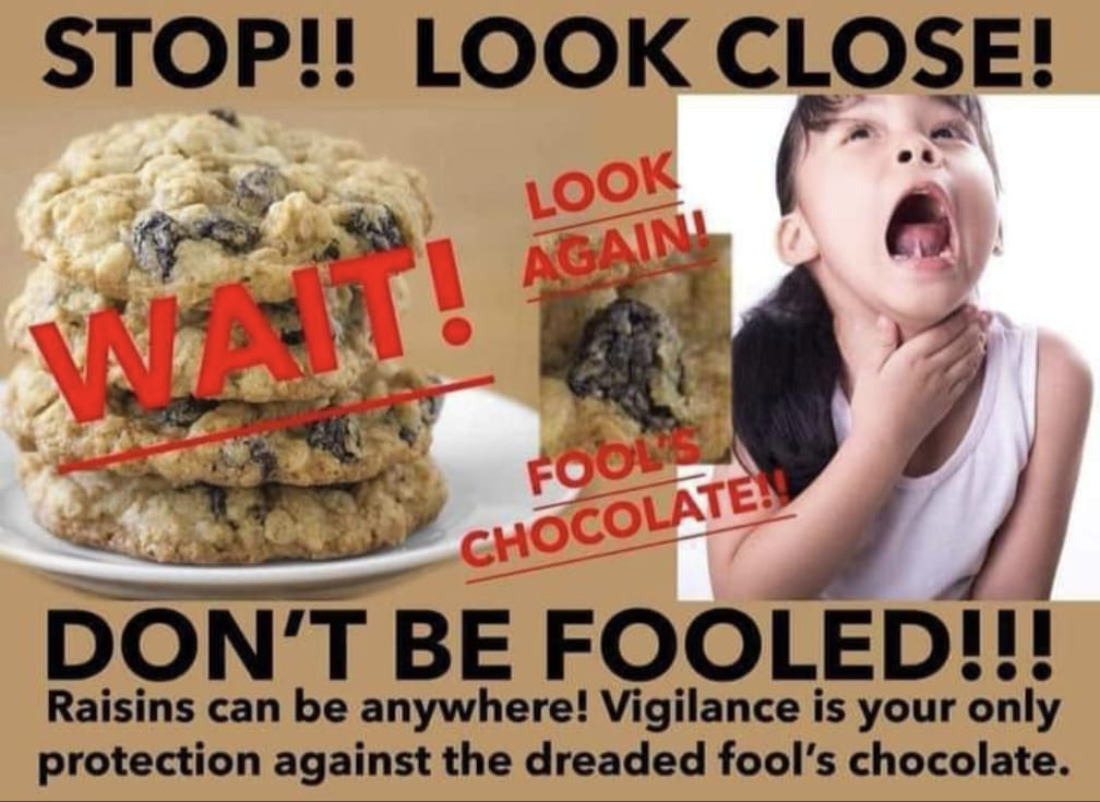 benjiphonik's tweet image. Don&apos;t be fooled, People! The struggle is REAL!!! 📷
#DirtyRaisinCookies #DontBeFooled #ChocolateChipRules