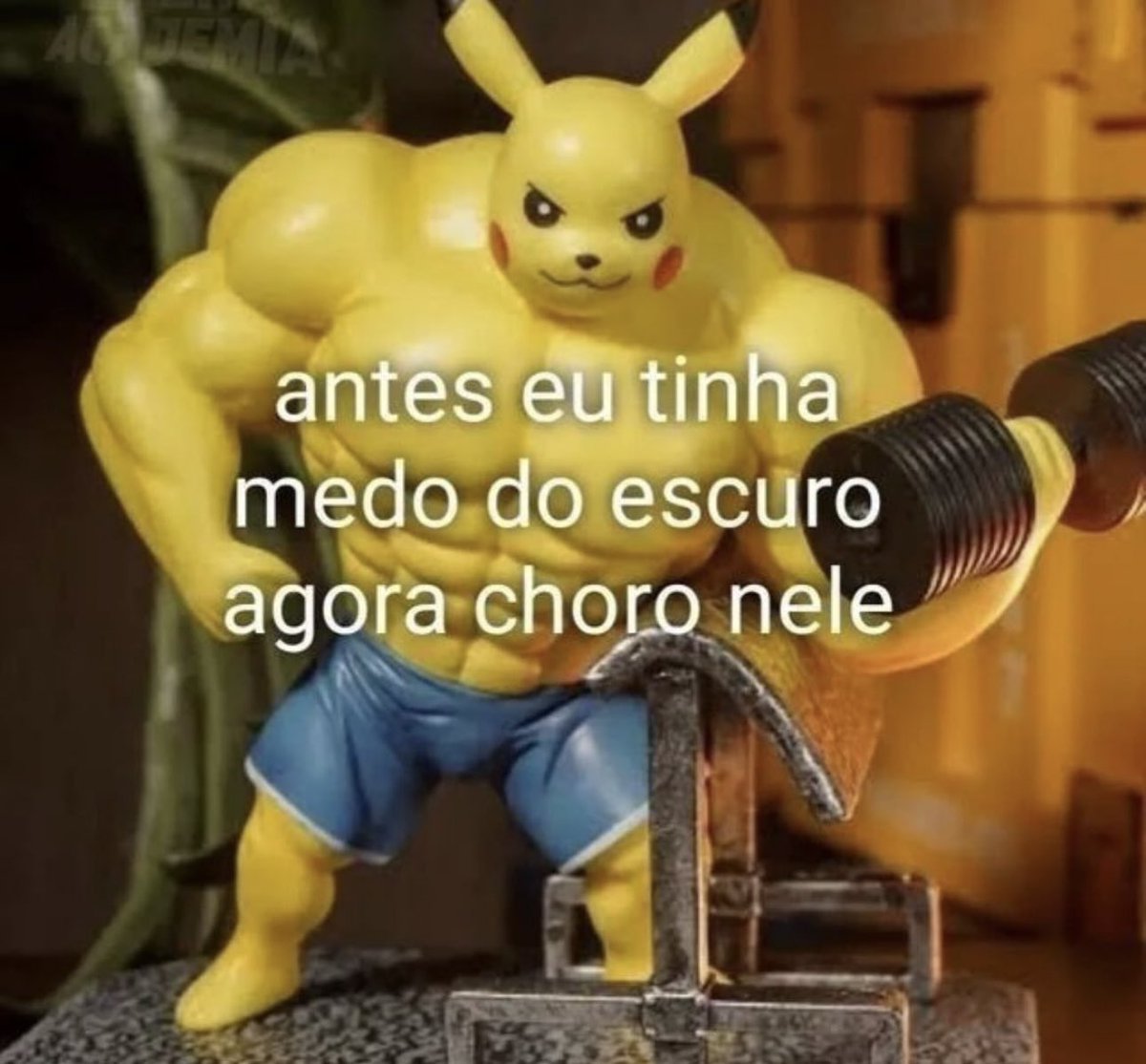 shitpostverdade's tweet photo. https://t.co/VcGxpQw2yj