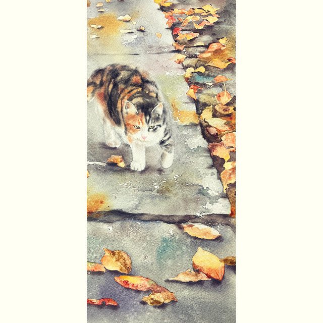 この散歩道が一番綺麗で楽しいのは秋なのよね🍁🍂

特徴的な柄のMikakoちゃん

#mikeko #猫を描く　#猫イラスト　#猫の肖像画　#猫アート　#猫絵　#catlover #petart #catpaint  #catpainter #petportrait #petportraitartist #watercolor #透明水彩　#hataoyoko #畑尾洋子