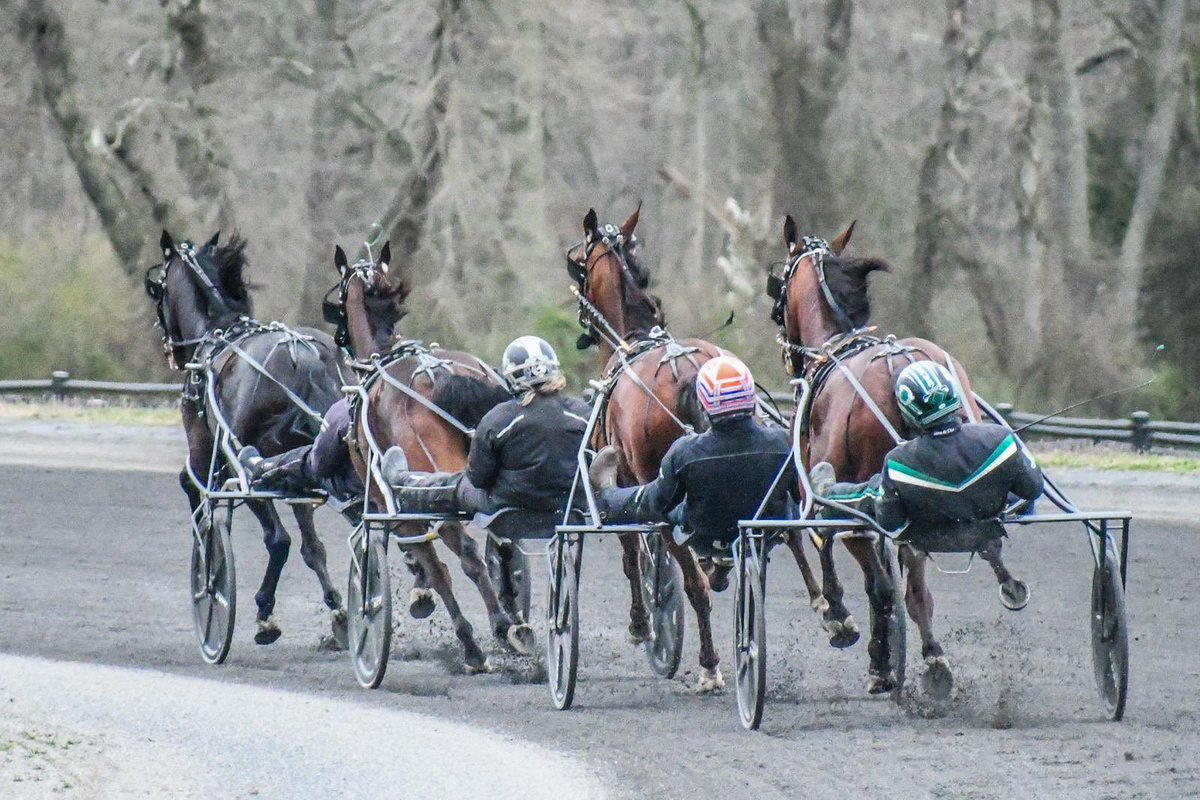 Lots of 3 year olds and Up trained fast today… which means #teamtakter will very soon be out in full force racing! Can’t come soon enough! ✨⭐️ #holy24 #harnessracing 📸 @Elinemjo