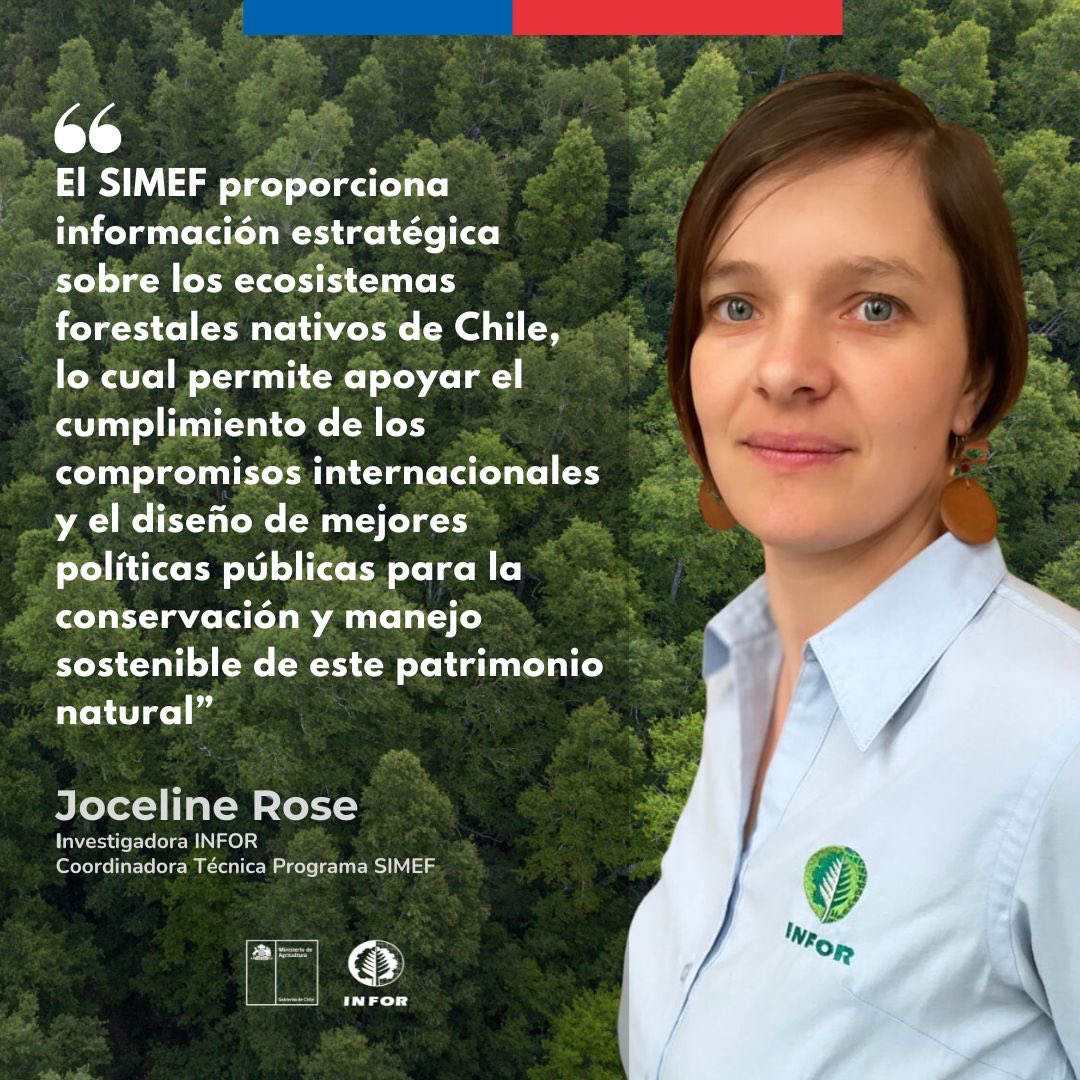 “El SIMEF proporciona información estratégica sobre los ecosistemas forestales nativos de Chile”
 
Joceline Rose, Investigadora INFOR, Coordinadora Técnica Programa SIMEF