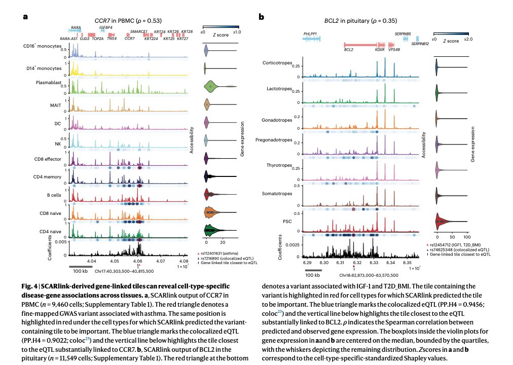Single-cell multi-ome regression models identify functional and disease-associated enhancers and enable chromatin potential analysis | Nature Genetics
nature.com/articles/s4158…

#Bioinformatics
