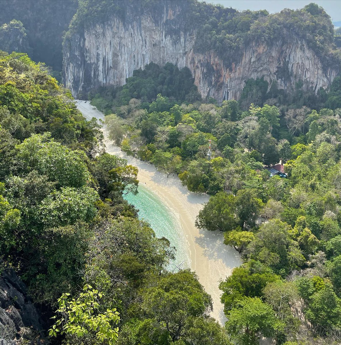 Web676's tweet image. "As the gentle breeze kisses her cheeks, she finds solace amidst the waves, sailing into the horizon with a heart full of wanderlust. With each click of the camera,#SeafaringEscapade #SailAwayWithMe #OceanicWanderlust #CapturingMomentsOfSerenity"