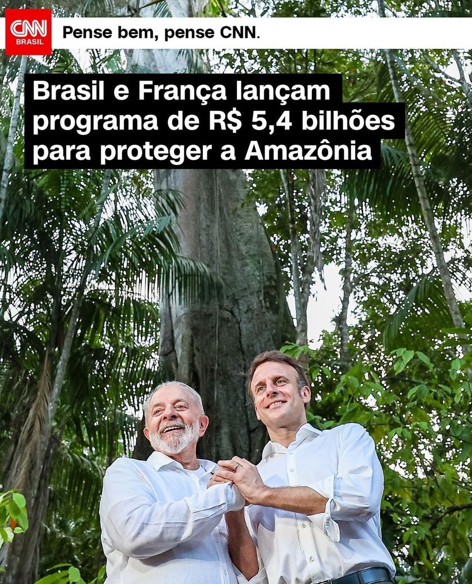 Ronaldo Amanayé tweet media