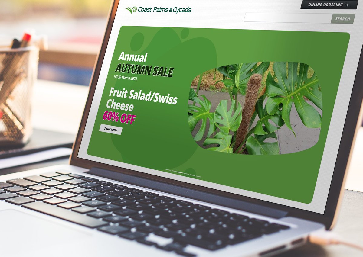 goodwebsitesnz's tweet image. To promote their Annual Autumn Sale, we've given the Coast Palms & Cycads website some nice new promo banners! 💥🌴 #WebDesignMagic
