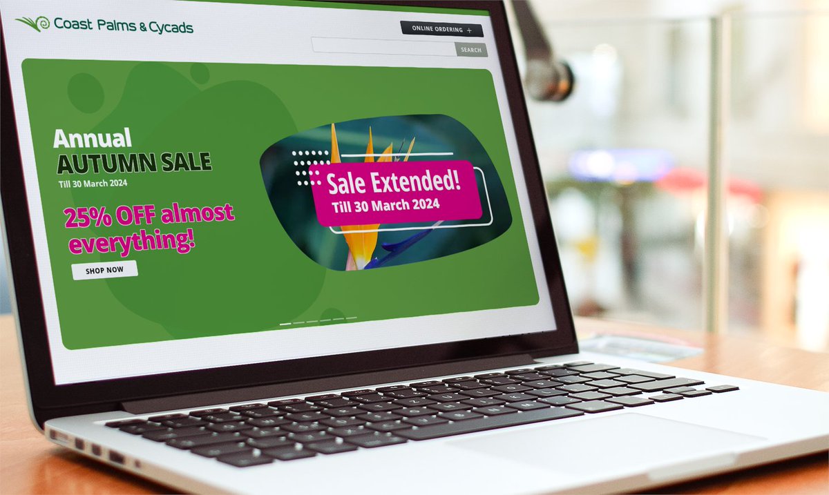 goodwebsitesnz's tweet image. To promote their Annual Autumn Sale, we've given the Coast Palms & Cycads website some nice new promo banners! 💥🌴 #WebDesignMagic