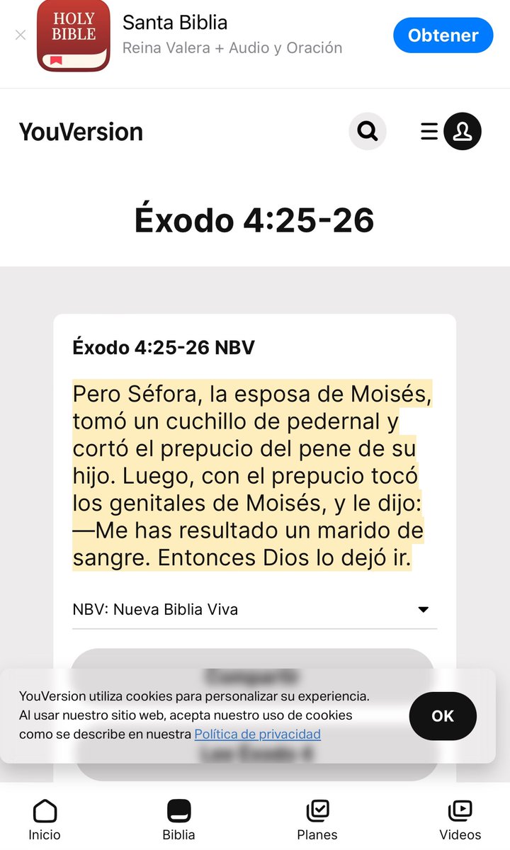 Riselm_'s tweet image. En semana santa me gusta mucho ver todo lo relacionado con la cristiandad y sobretodo la vida de moisés. De hecho en Netflix acaban de subir un documental sobre él. El caso es que quería saber qué pasó con sefora y me encuentro esto