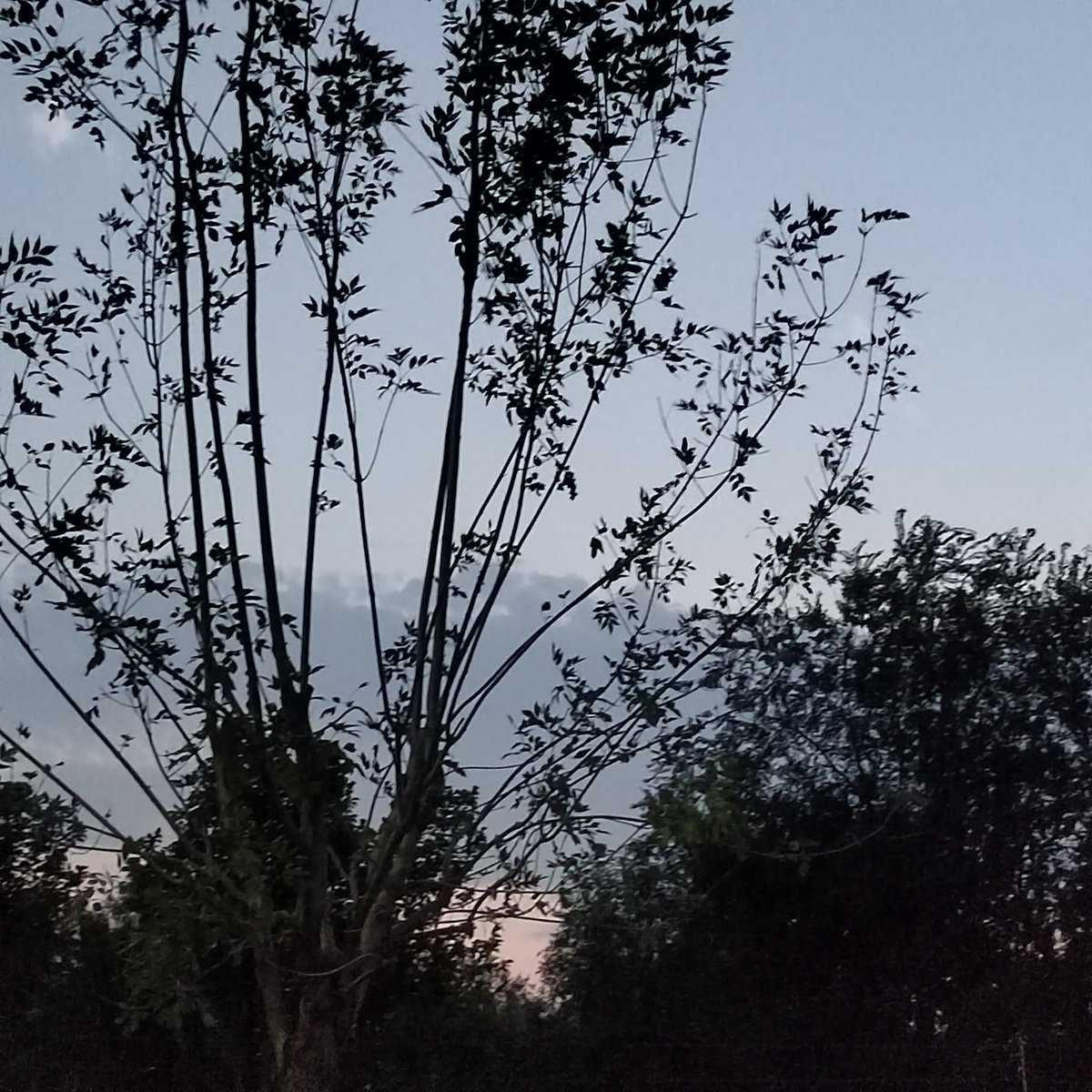 或许，和老婆牵着手走才好 #第四爱 #4i #老婆