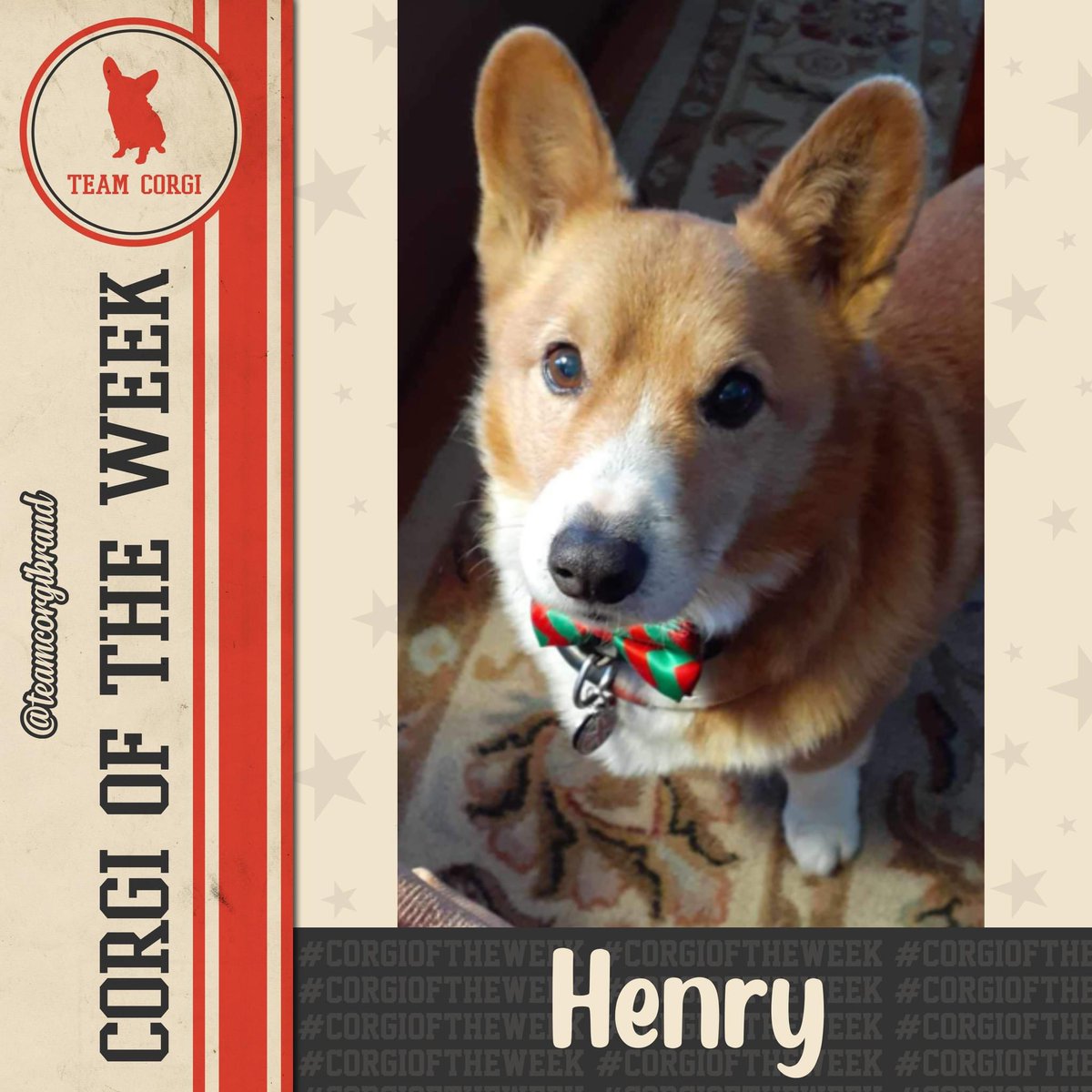 This week’s #CorgioftheWeek is Henry!

teamcorgibrand.com/pages/corgi-of…

#TeamCorgi #CorgiCrew