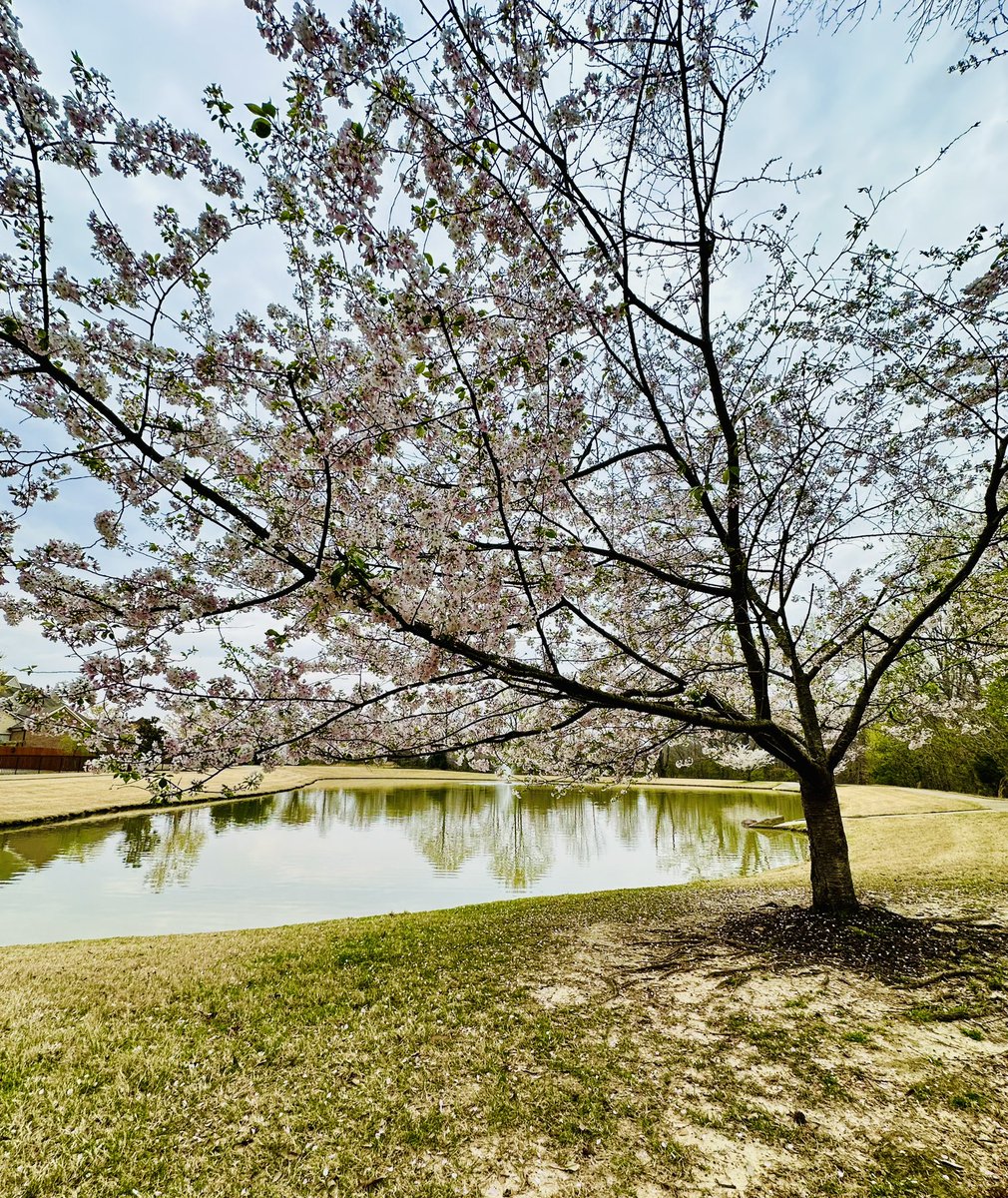 TainaPR2's tweet photo. Spring is in the air ♥️ https://t.co/4nuTtEsf4W