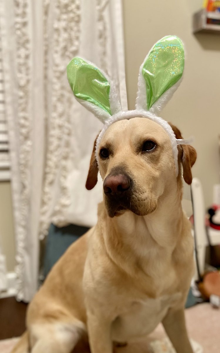 DO NOT EVER DO THIS TO HIM AGAIN!!