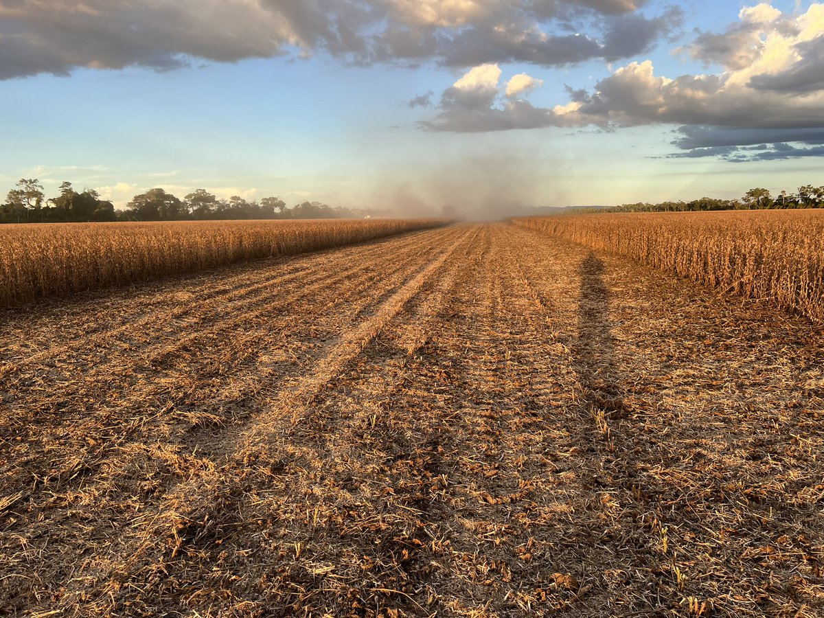 Harvest season has started.