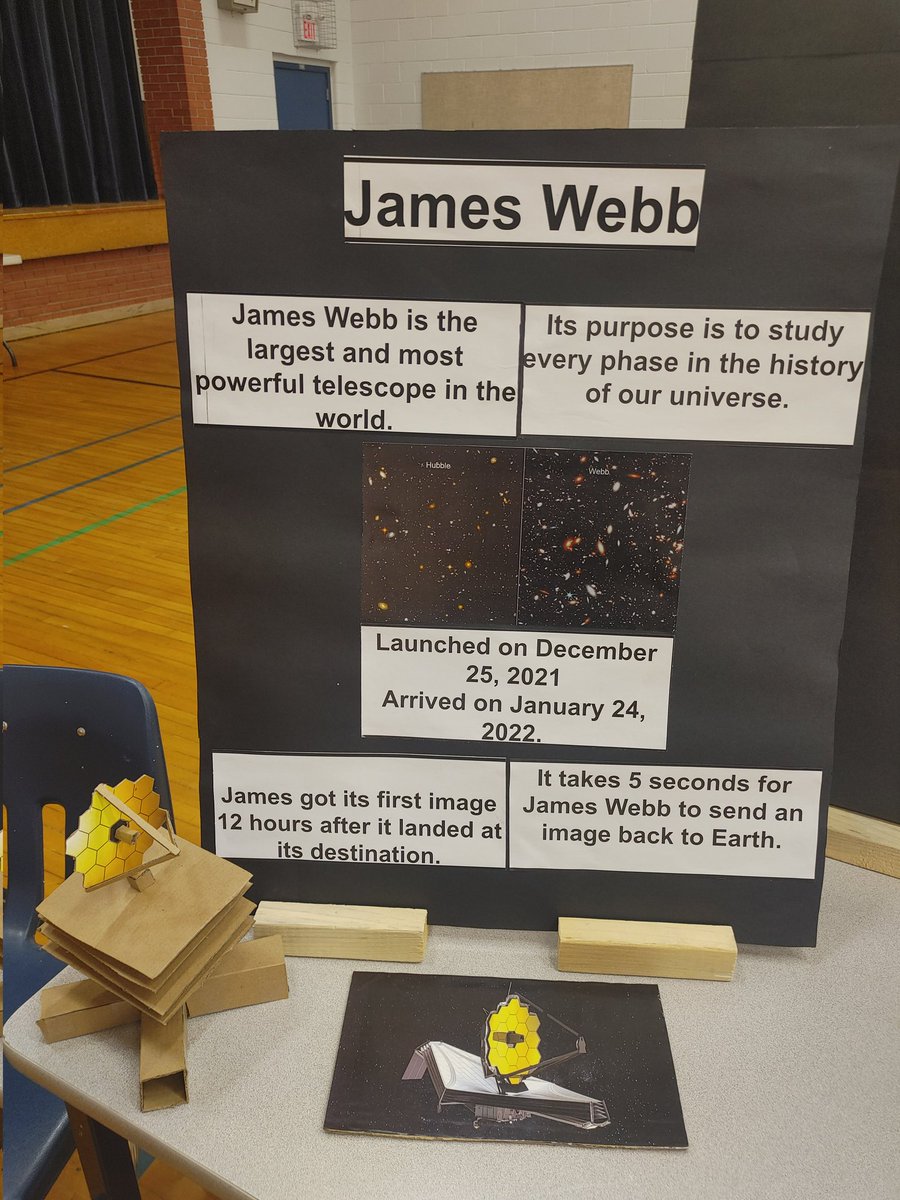 Angie Angle tweet media