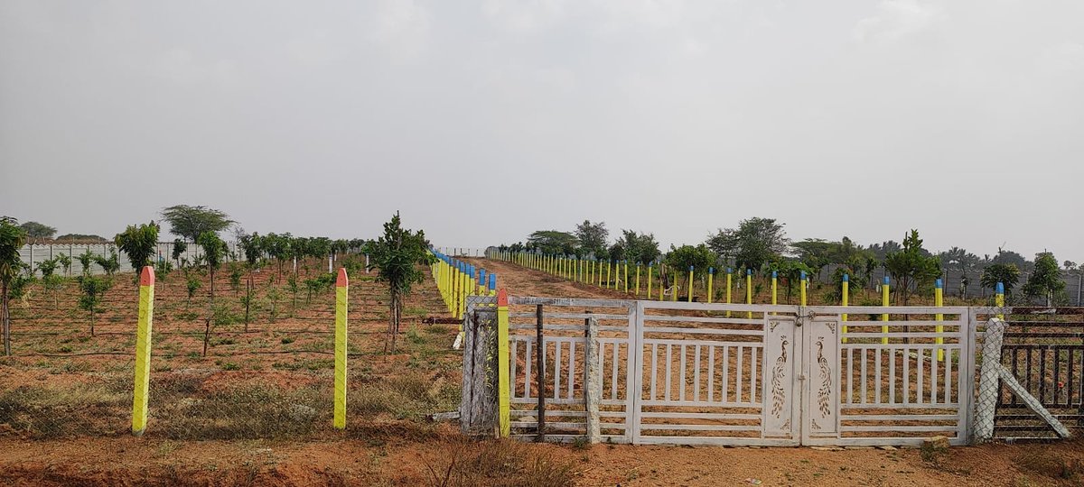 stackbuildindia's tweet image. Open Plot for Sale @ 9999 Rate. #stackbuild #hyderabad 

Visit: stackbuild.in