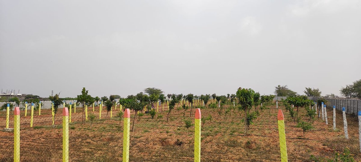 stackbuildindia's tweet image. Open Plot for Sale @ 9999 Rate. #stackbuild #hyderabad 

Visit: stackbuild.in