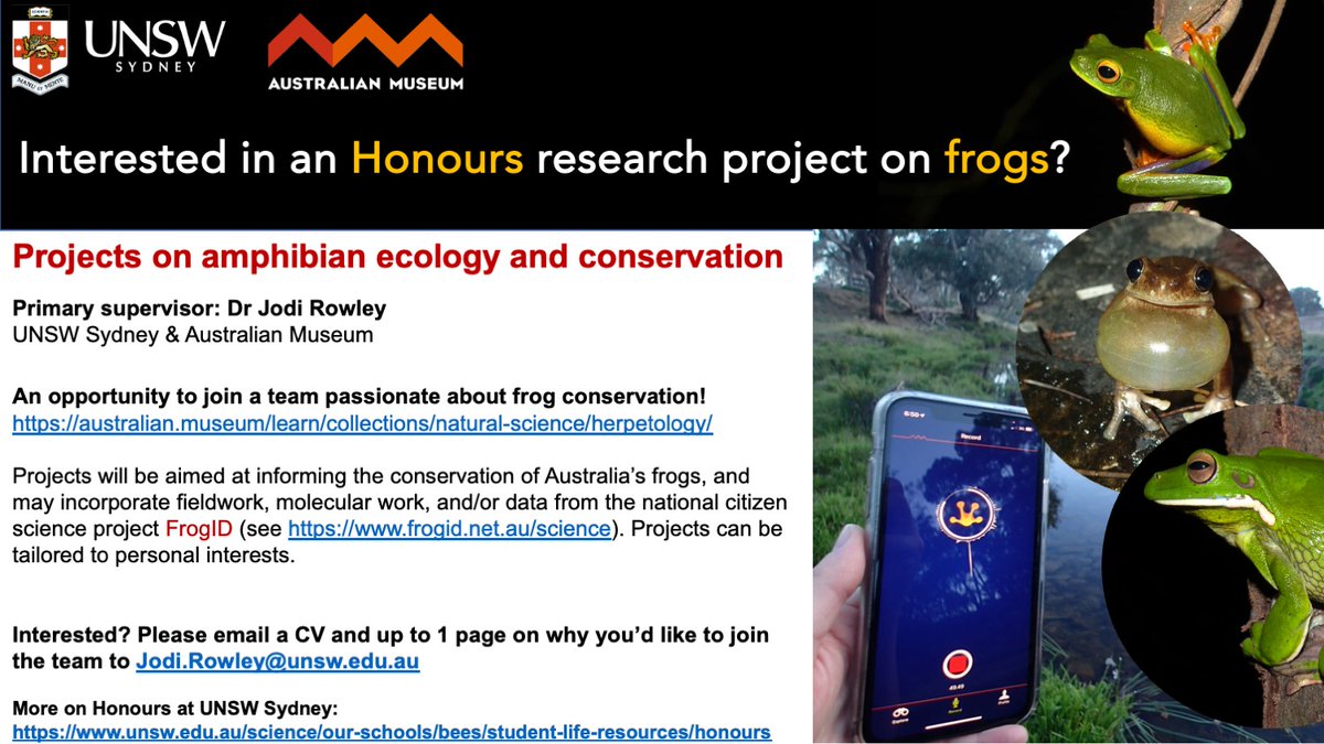 Looking for potential #Honours students to join my team at @unswbees & @AustmusResearch, working on #frog #research & #conservation. #fieldwork, #molecular work and @FrogIDAus opportunities! 🐸