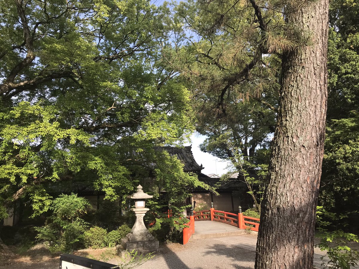 CafeTemple's tweet photo. 今宮神社 北区紫野今宮町 994年、平安京で流行した疫病を���めるため疫神を祀り御霊会を行ったのがはじまり。健康長寿・災疫鎮静の社。境内には「阿呆賢さん」と呼ばれる神占石があり、願いを占う人が多い。良縁開運のご利益としても知られる。#kyoto #今宮神社 #阿呆賢さん #紫野 https://t.co/Aod39lSbyx