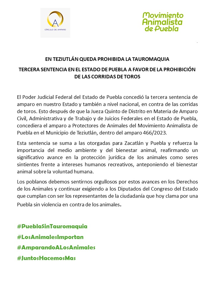 EN TEZIUTLÁN QUEDA PROHIBIDA LA TAUROMAQUIA
TERCERA SENTENCIA EN EL ESTADO DE PUEBLA A FAVOR DE LA PROHIBICIÓN DE LAS CORRIDAS DE TOROS

#PueblaSinTauromaquia
#AmparamosALosAnimales
#LosAnimalesImportan
#JuntosLogramosMas