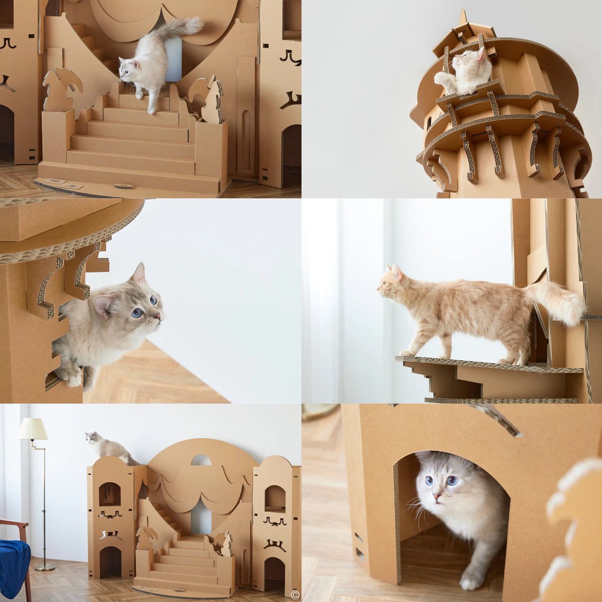 tdr_doria's tweet photo. 【ねこが主人公になる舞台 誕生】
4月6日より、「Cat tower Disney series」第1弾『ライオン・キング』『塔の上のラプンツェル』『美女と野獣』をモチーフにしたキャットタワー(強化段ボール製)が販売されます🐈

※14:00より予約販売開始予定です。
https://t.co/osKhpo8nBt https://t.co/3U2maMk53b
