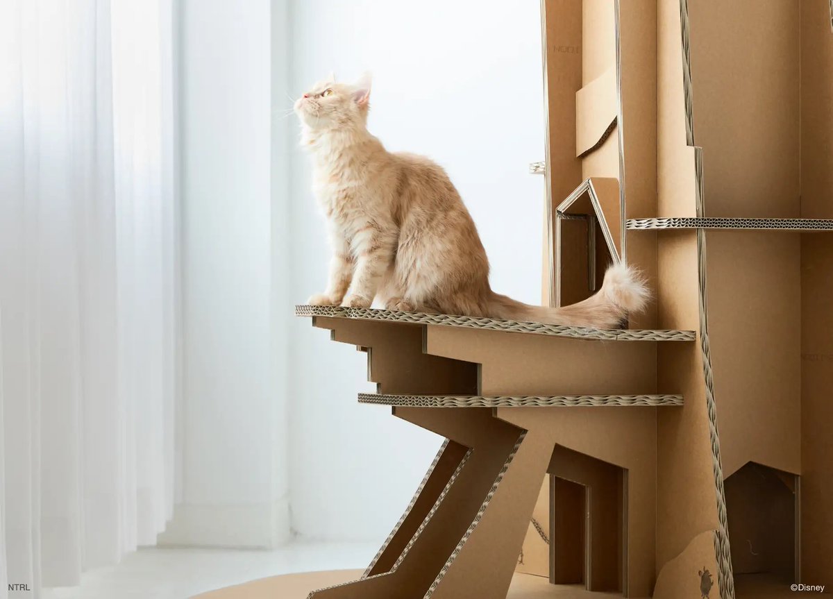 tdr_doria's tweet photo. 【ねこが主人公になる舞台 誕生】
4月6日より、「Cat tower Disney series」第1弾『ライオン・キング』『塔の上のラプンツェル』『美女と野獣』をモチーフにしたキャットタワー(強化段ボール製)が販売されます🐈

※14:00より予約販売開始予定です。
https://t.co/osKhpo8nBt https://t.co/3U2maMk53b