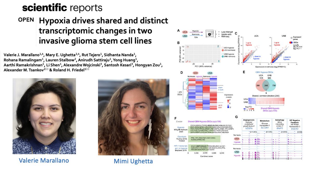 Friedel Lab tweet media