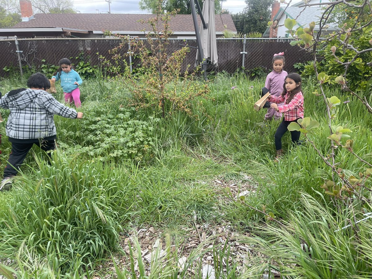 First grade hunting eggs. Welcome Spring season.