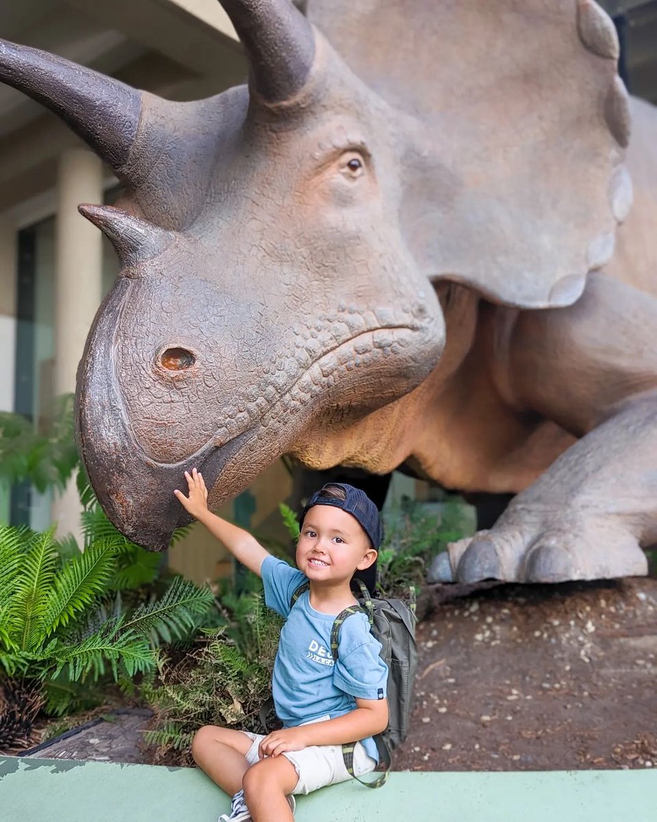 Making plans for the long weekend? Make sure a visit to the Museum is on your list! We're closed on Good Friday, but are open as usual for the remainder of the weekend. 🌱🦖📜🐝🔍☄️⚱️🐙 📸 IG @lifewiththeleipers