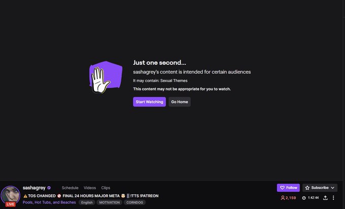 While live my stream got marked &ldquo;intended for certain audiences,  may contain: sexual themes&rdquo; thank you<a href="/tag/flowers"class="tags"><span>#flowers</span></a><a href="/tag/mexico"class="tags"><span>#mexico</span></a><a href="/tag/zucchini"class="tags"><span>#zucchini</span></a><a href="/tag/quesadillas"class="tags"><span>#quesadillas</span></a>