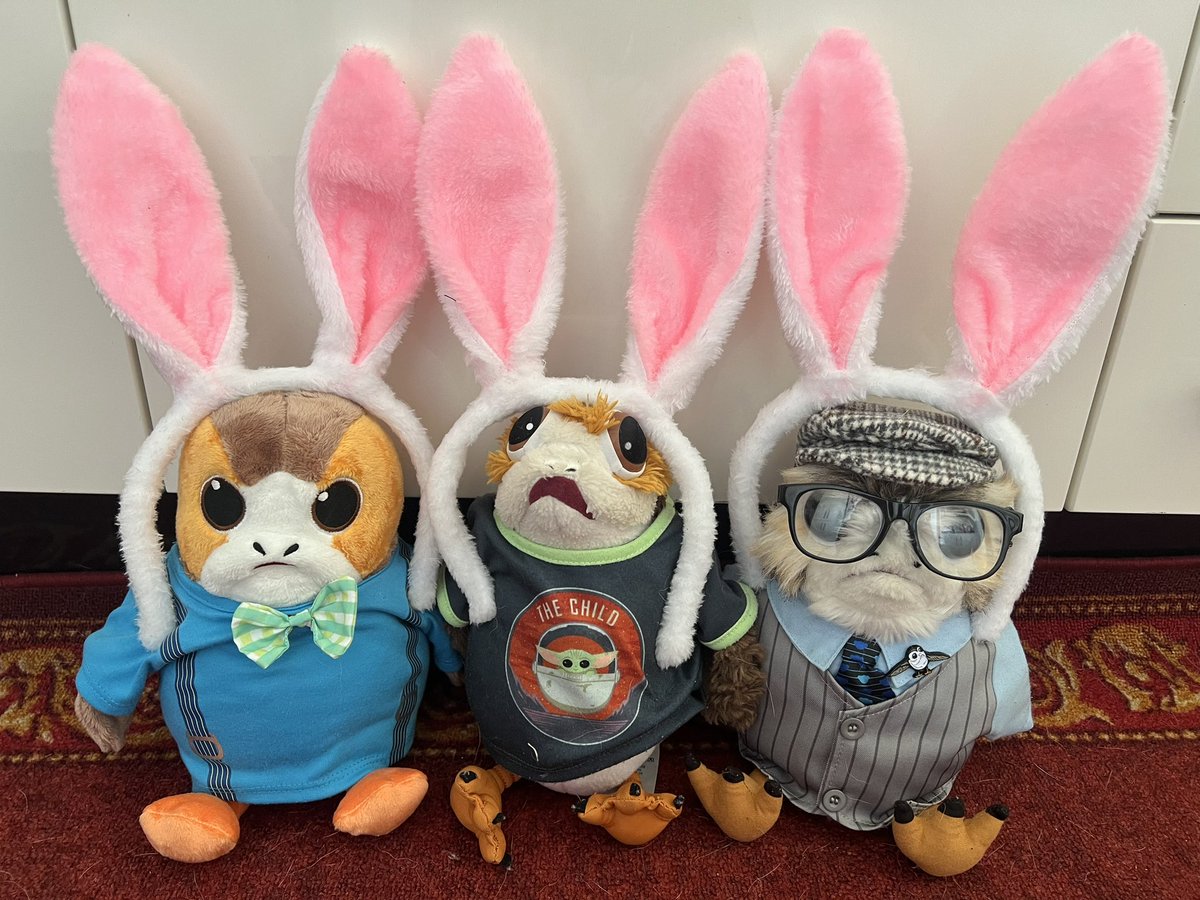 Joining in the “wearing bunny ears” trend. Now where is the chocolate 🤔 #porgs #porg #porgsoftwitter #porgsofx #tatertotsquad
