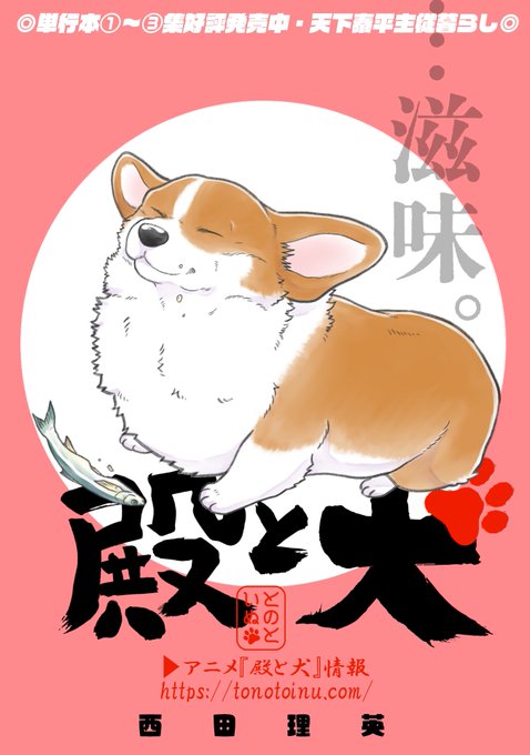 「瞑目 柴犬」のTwitter画像/イラスト(新着)