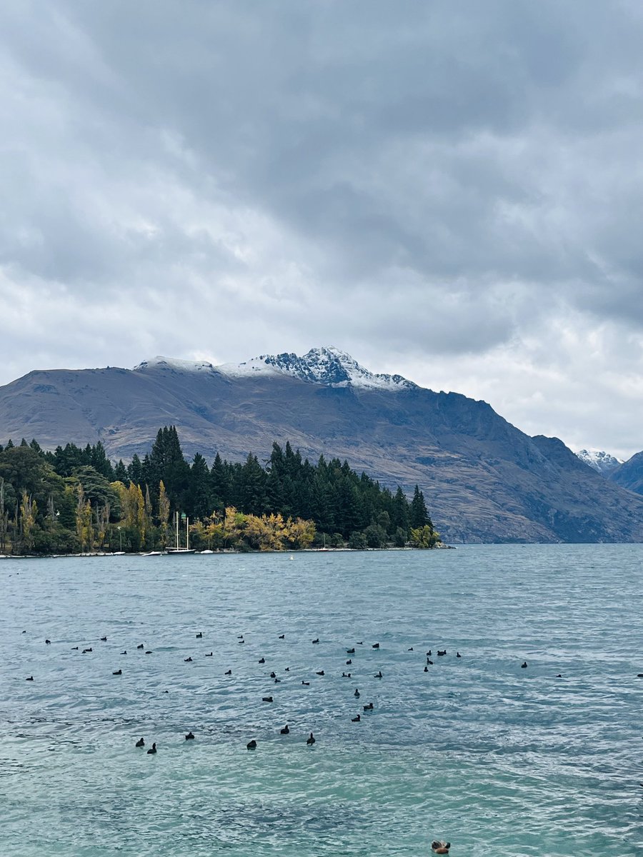 pretzeldr's tweet photo. Fabulous views coming into #queenstown for the 2024 AMSANZ / ASAM aviation medicine conference ✈️ 🏔️ #avmed #newzealand https://t.co/J6oqERe2gm