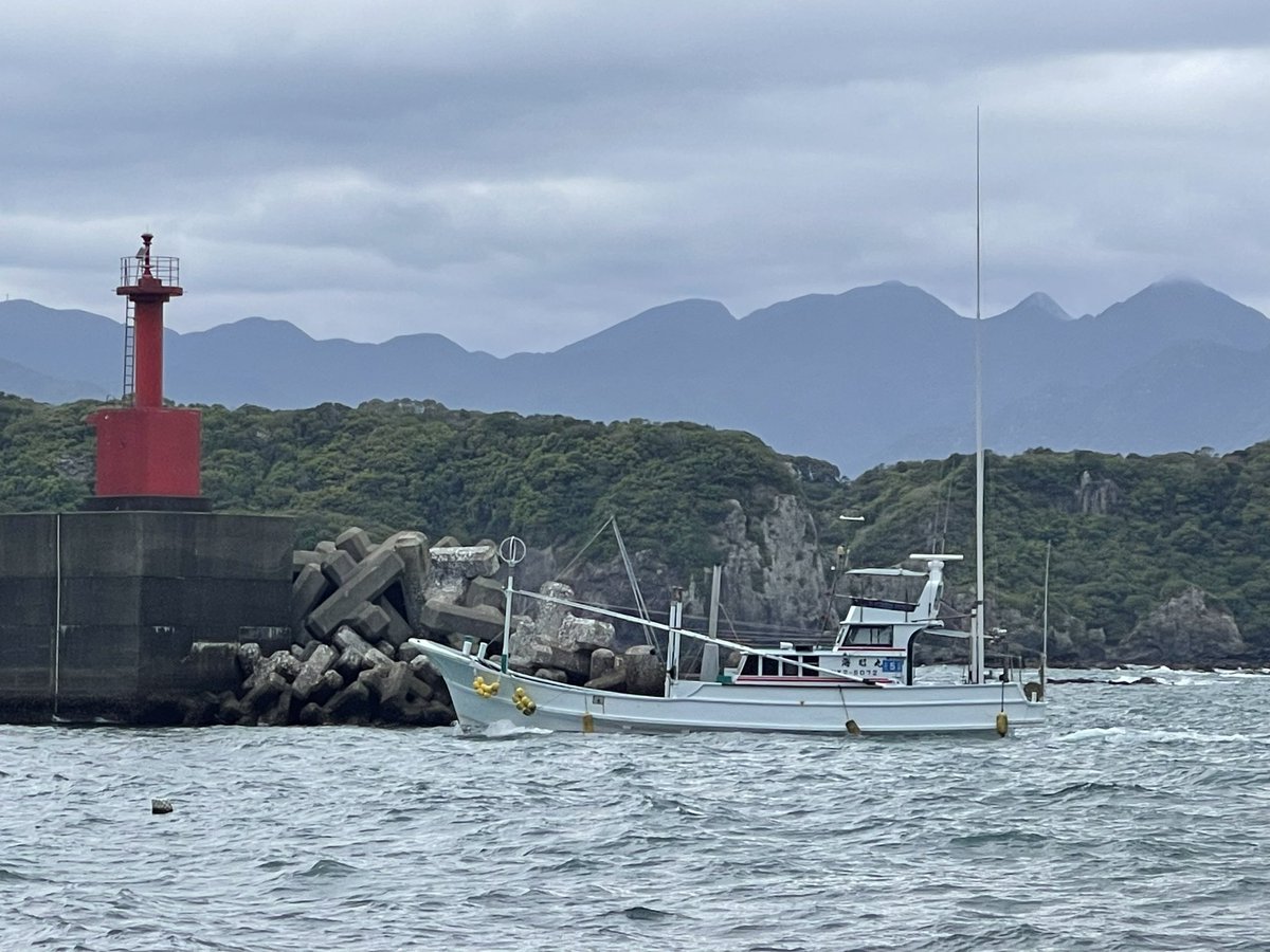 KunitoSeko's tweet photo. Despite strong winds and high waves, all eight hunting boats that left the harbor returned at 12:44 pm.
Blue Cove today💙🐳💙
#和歌山
#太地
#Taiji
#太地くじらの博物館
#太地くじら浜海水浴場
#太地いさな組合
#太地漁業協同組合
#イルカ追い込み猟廃止を求める
#イルカ追い込み猟 https://t.co/WICgQyaFH0