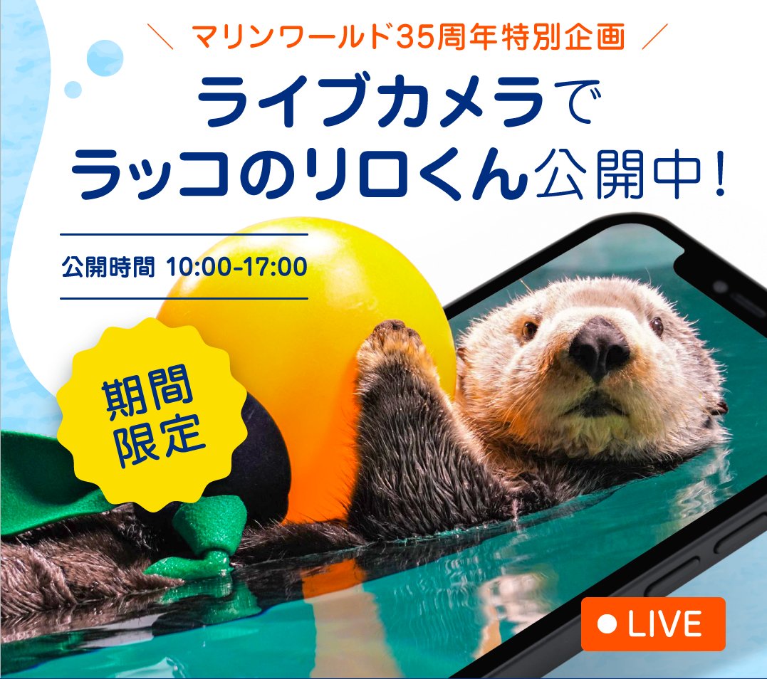 マリンワールド海の中道　ブランケット　リロ　ラッコ　Ⅱ マリンワールド海の中道 ブランケット リロ ラッコ Ⅱ 截ち