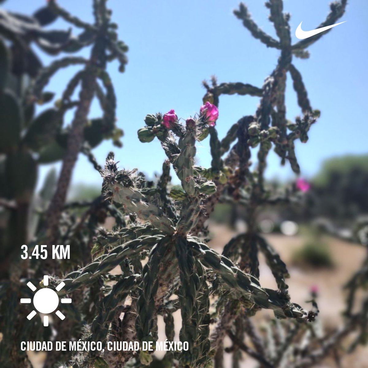 NanckyQueen's tweet photo. Buenas, la vagueada nos permitiรณ caminar, correr y de lujo las 32 #YoguiPushUps #challenge @YogaWithCriss y valen el esfuerzo ๐ค๐ค #yogaforRunners ๐๐ผ #SonreirNoDuele ๐ #Enjoy #smile #togetherisbether #running #entrerunners #runnerscomunity #GoRunners๐๐ผ https://t.co/fRrDBraB79