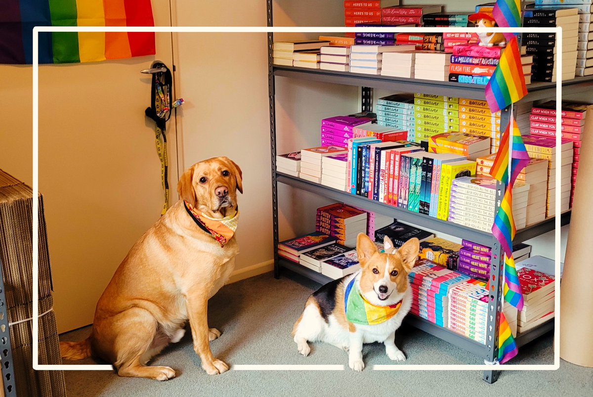 Today we bid farewell to our wonderful Marketing Intern - Frank! 🐾 Frank won’t be a complete stranger, he will pop into the office from time to time so he will still feature in our stories! We wish him, and his human, the absolute best with their future endeavours 🌈