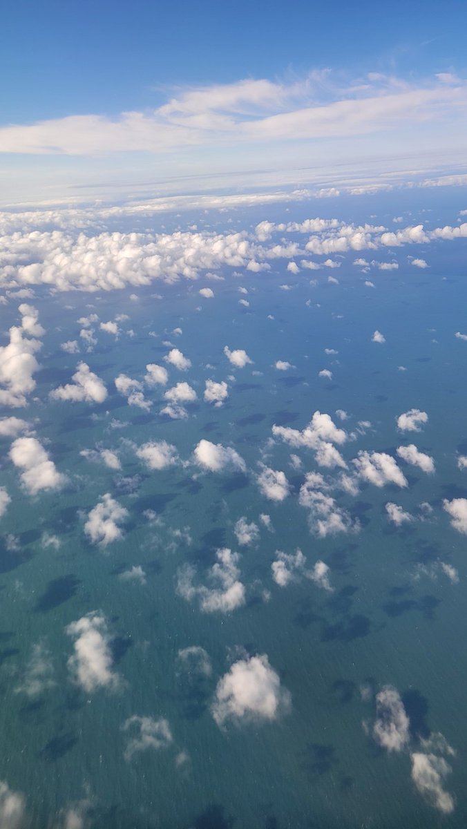 erinvaltinson's tweet photo. I finally visited California for all of 40 minutes, too! https://t.co/maguoEzANh