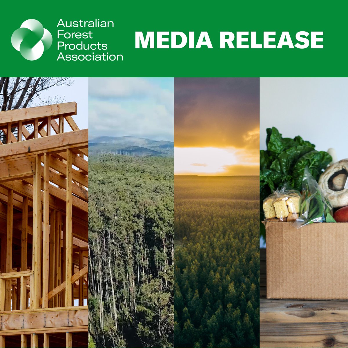 MEDIA RELEASE - Senate stands up for plantation forestry

👉 shorturl.at/npxM5