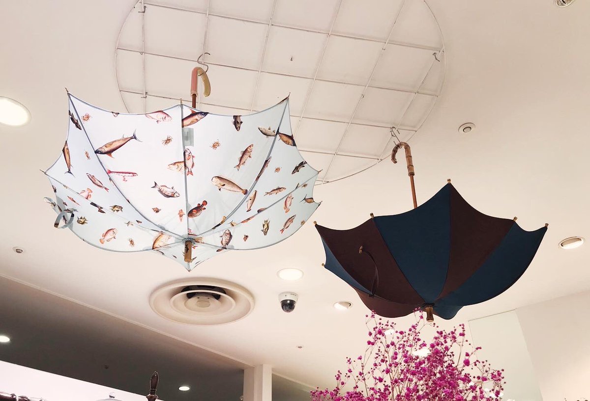 Dicesaredesigns's tweet photo. Pumpkin Parasols on display at @rooms_shop Shinjuku Lumine 2.

ルミネ新宿ルミネ2  2F rooms SHOPにてディチェザレデザインの傘おもとめいただけます♩ https://t.co/4b3MOLKzor