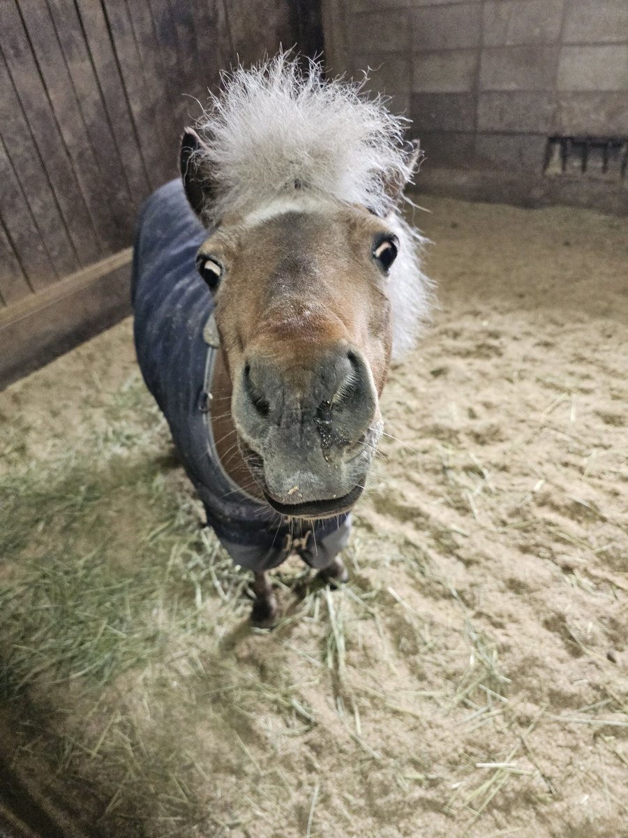 Korea Racing tweet media