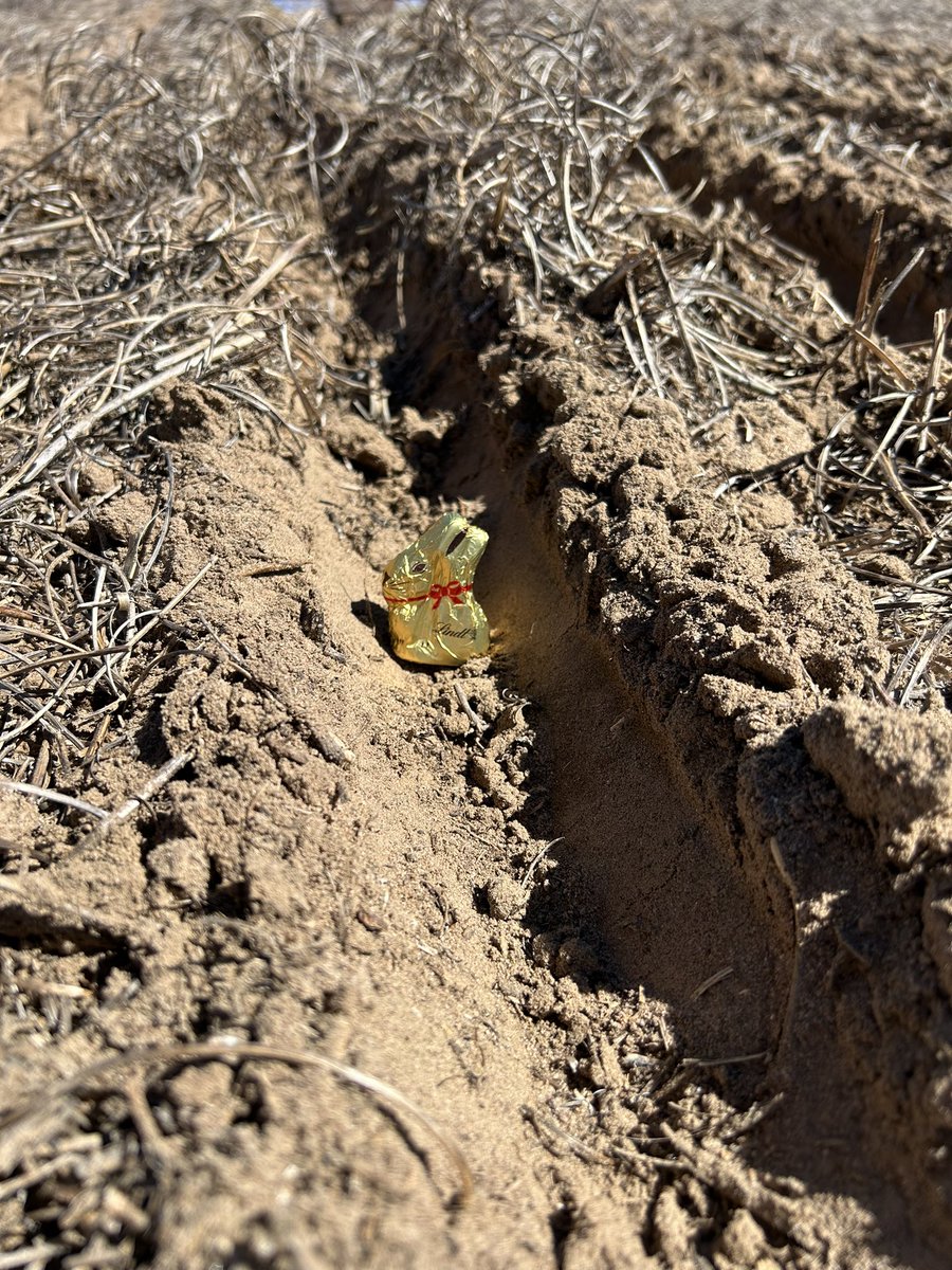 Kenton Porker tweet media