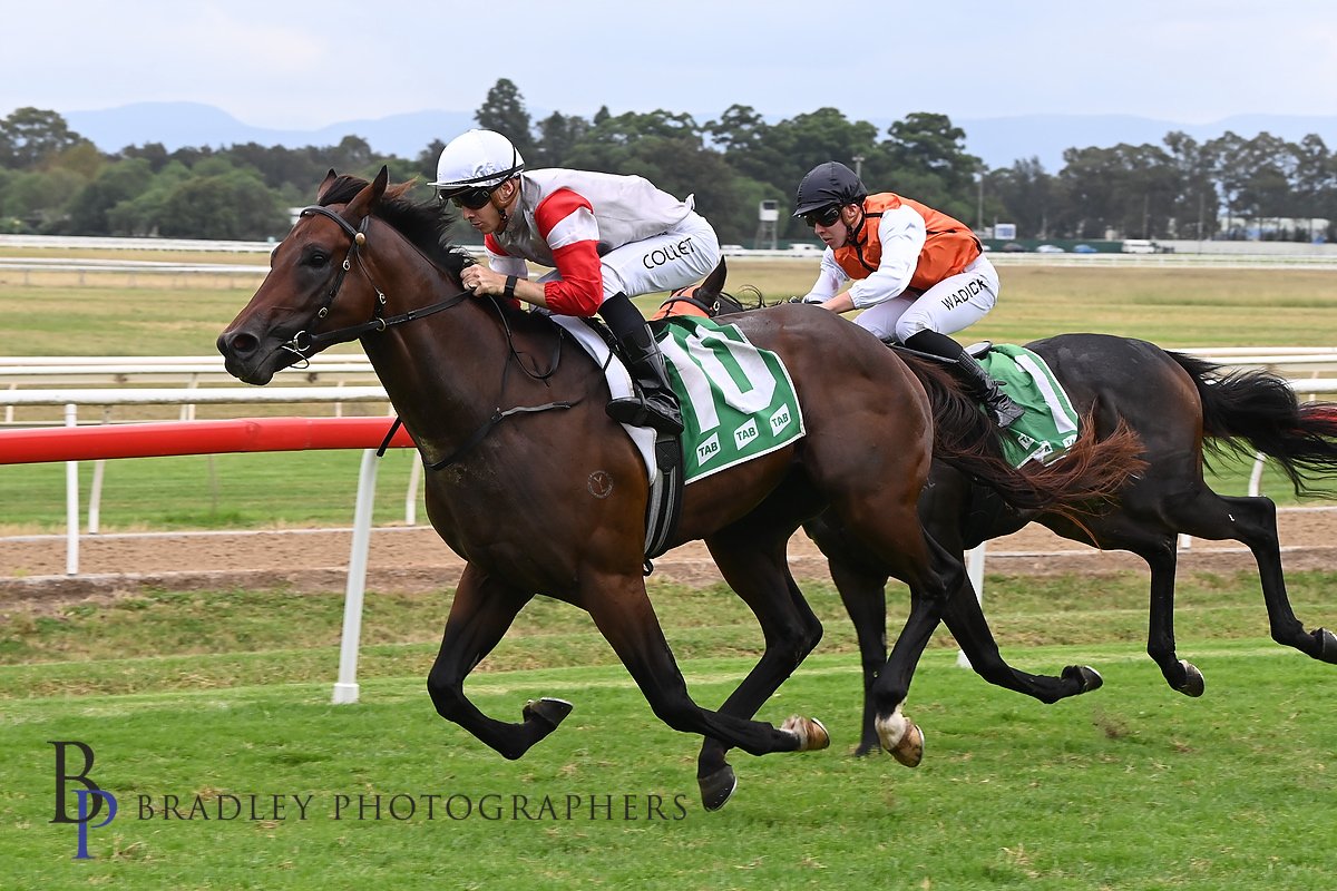 Locals starting off strong with @JackPilkington1 winning Race 3 with Alabama State, an overdue Maiden win for this pair! 👏🏇 Congratulations Images @Bradley_Photos